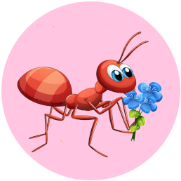 Infografika - jabłko i serce